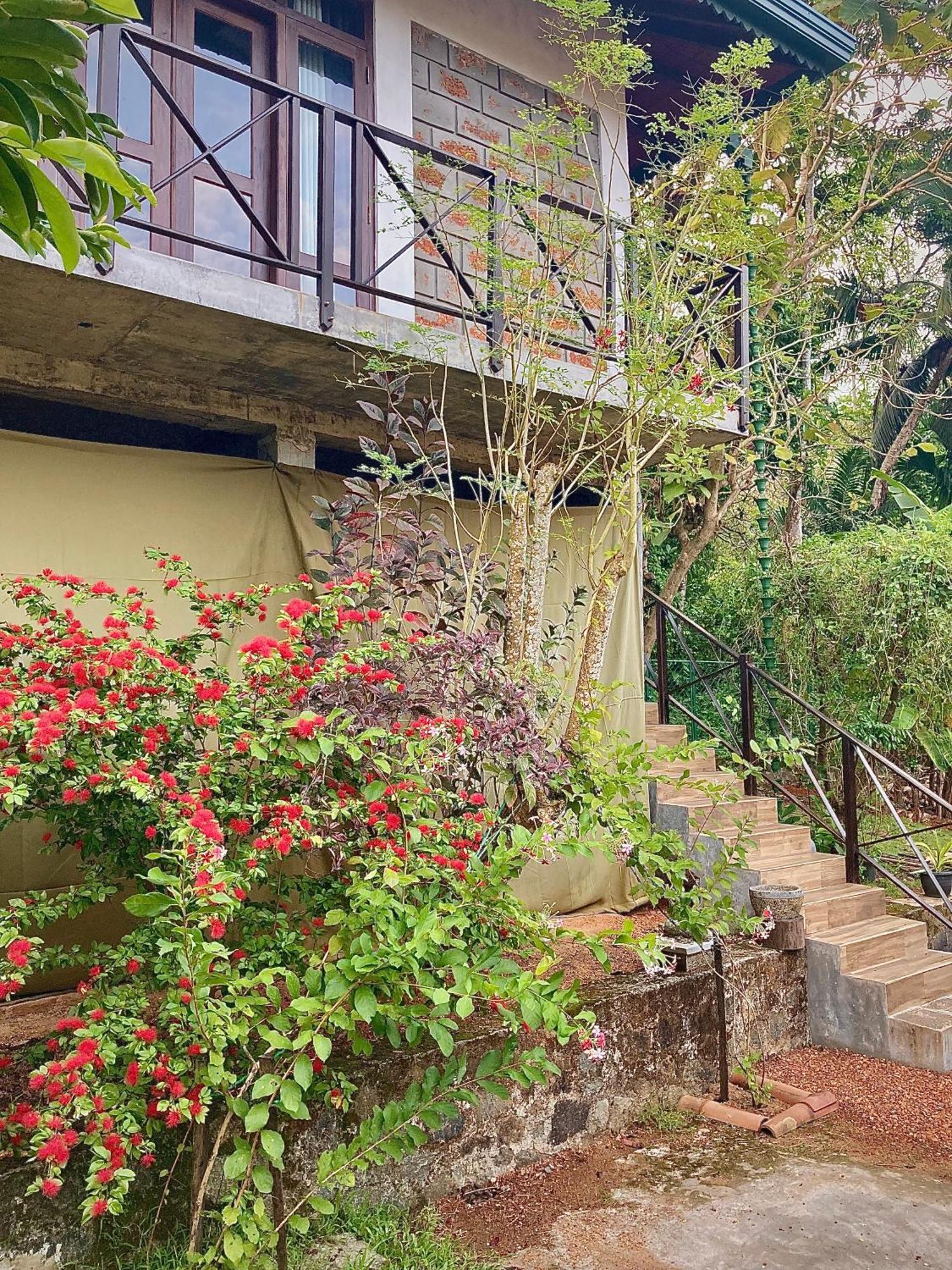 Dosemo Cabana Induruwa Extérieur photo